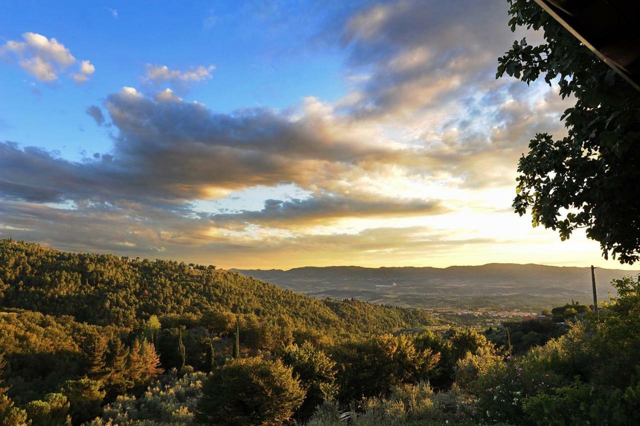 Agriturismo Borgo Mocale Castelfranco di Sopra Екстер'єр фото